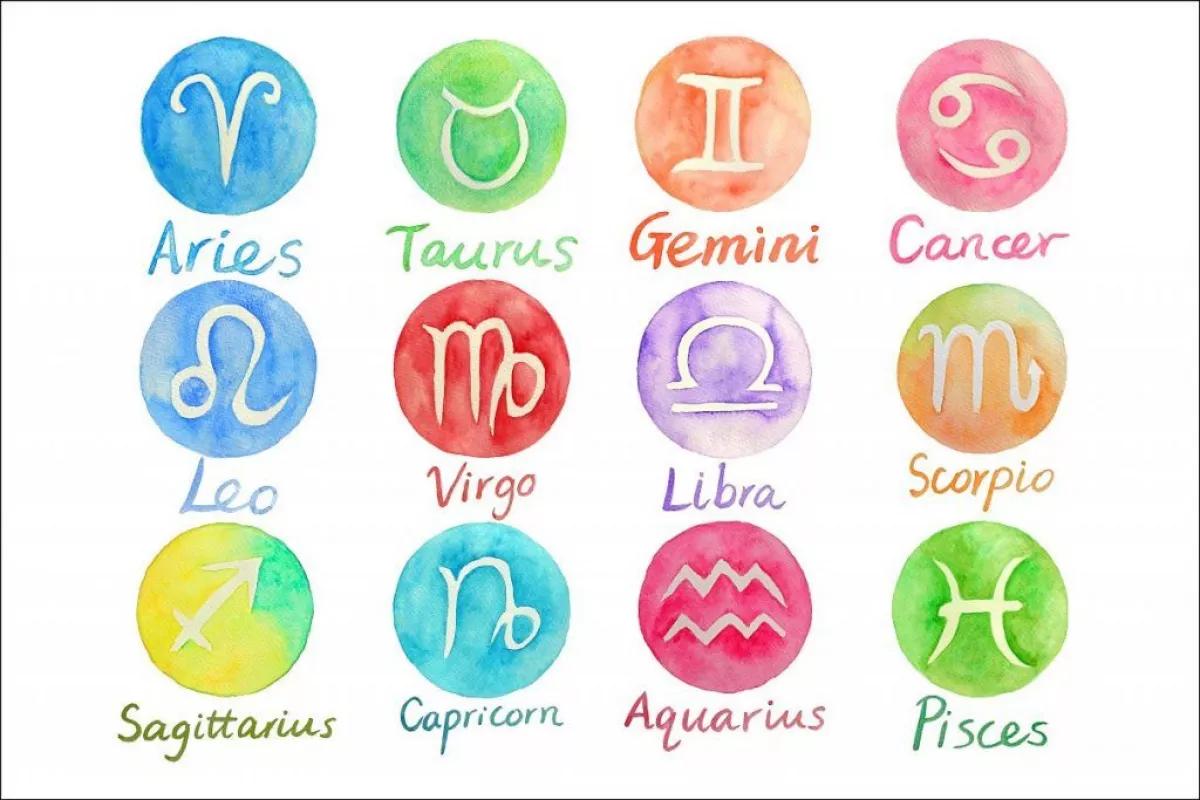los leo son inteligentes - Qué es lo que hace especial a Leo