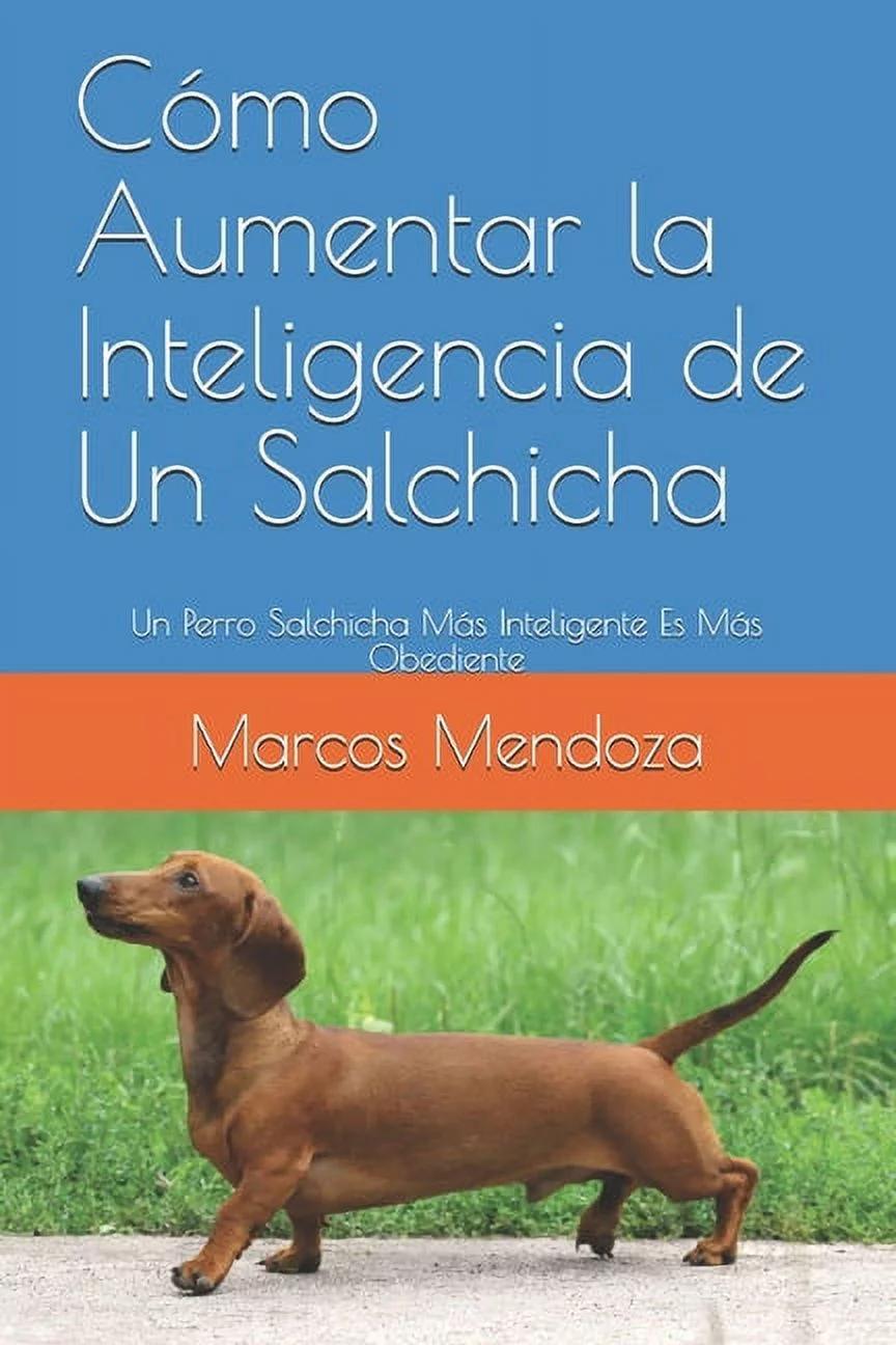 el perro salchicha es inteligente - Qué es lo que más le gusta a los perros salchicha