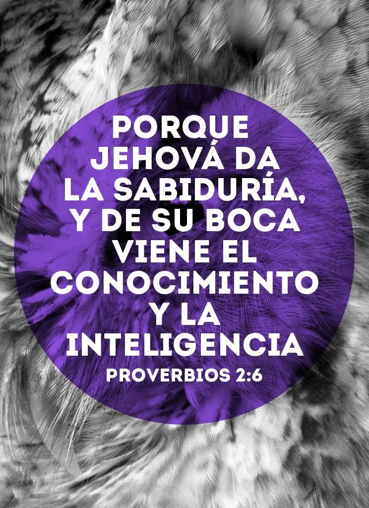 estudio biblico sobre la sabiduria y la inteligencia - Qué es mejor ser inteligente o sabio