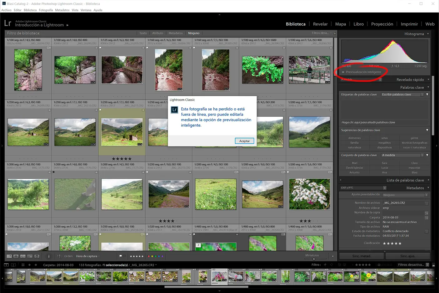 previsualización inteligente lightroom - Qué es previsualización incrustada en Lightroom