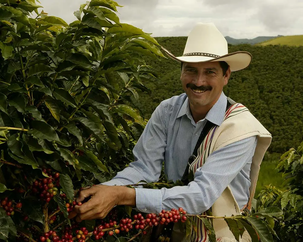Juan Valdez: La inteligencia artificial en la estrategia de una marca de café icónica - Qué es procafecol juan valdez inteligencia artificial - Qué es procafecol