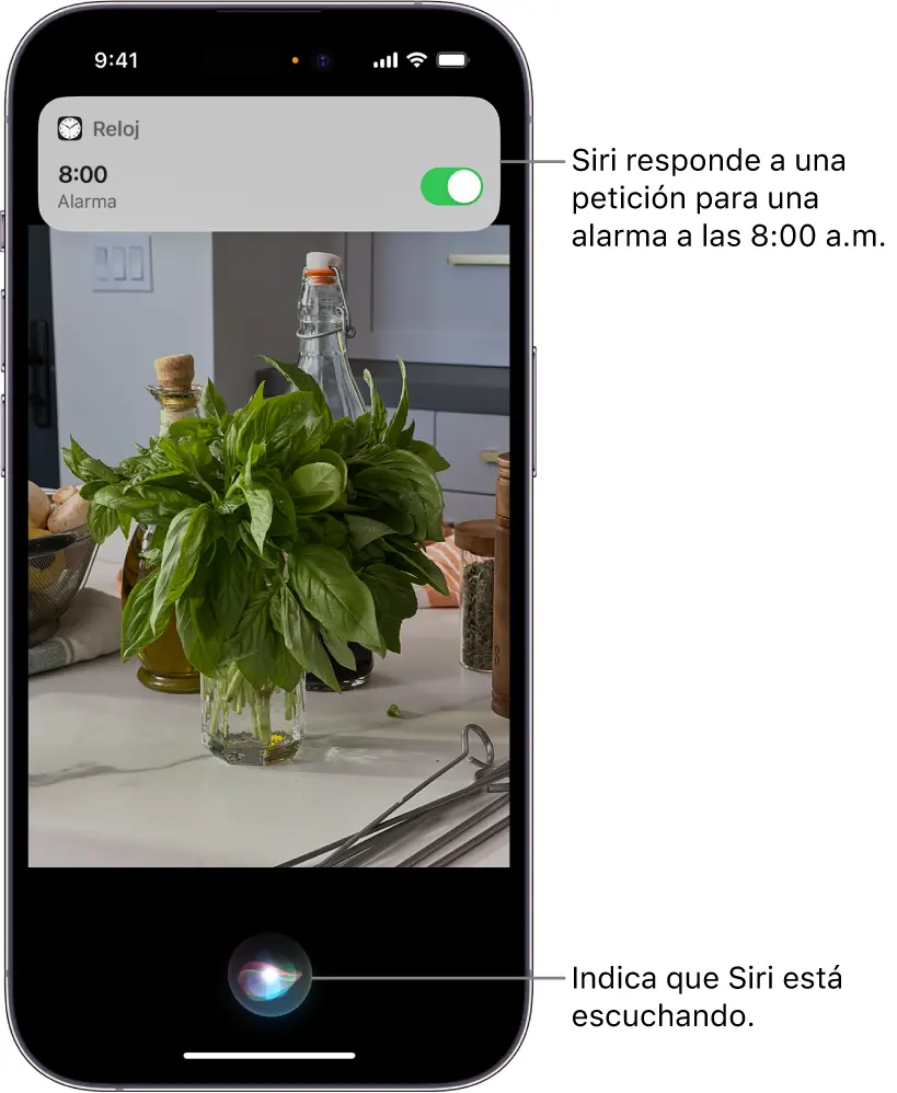inteligencia artificial siri apple - Qué es Siri y para qué sirve