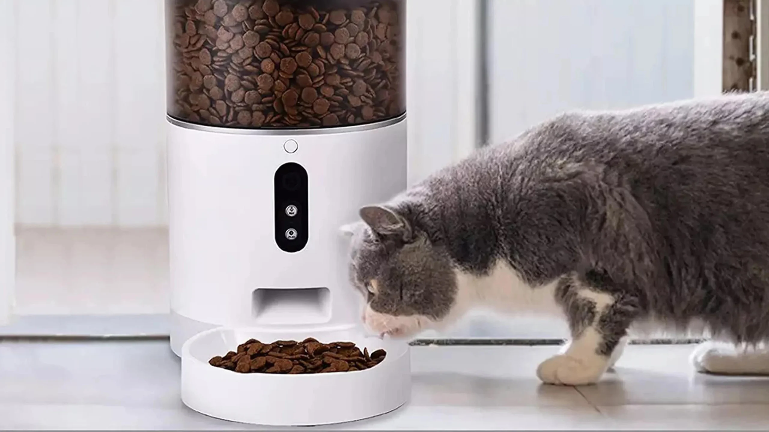 Comederos inteligentes: la solución para alimentar a tus mascotas de forma automática - Qué es un comedero automático comedereos inteligentes - Qué es un comedero automático