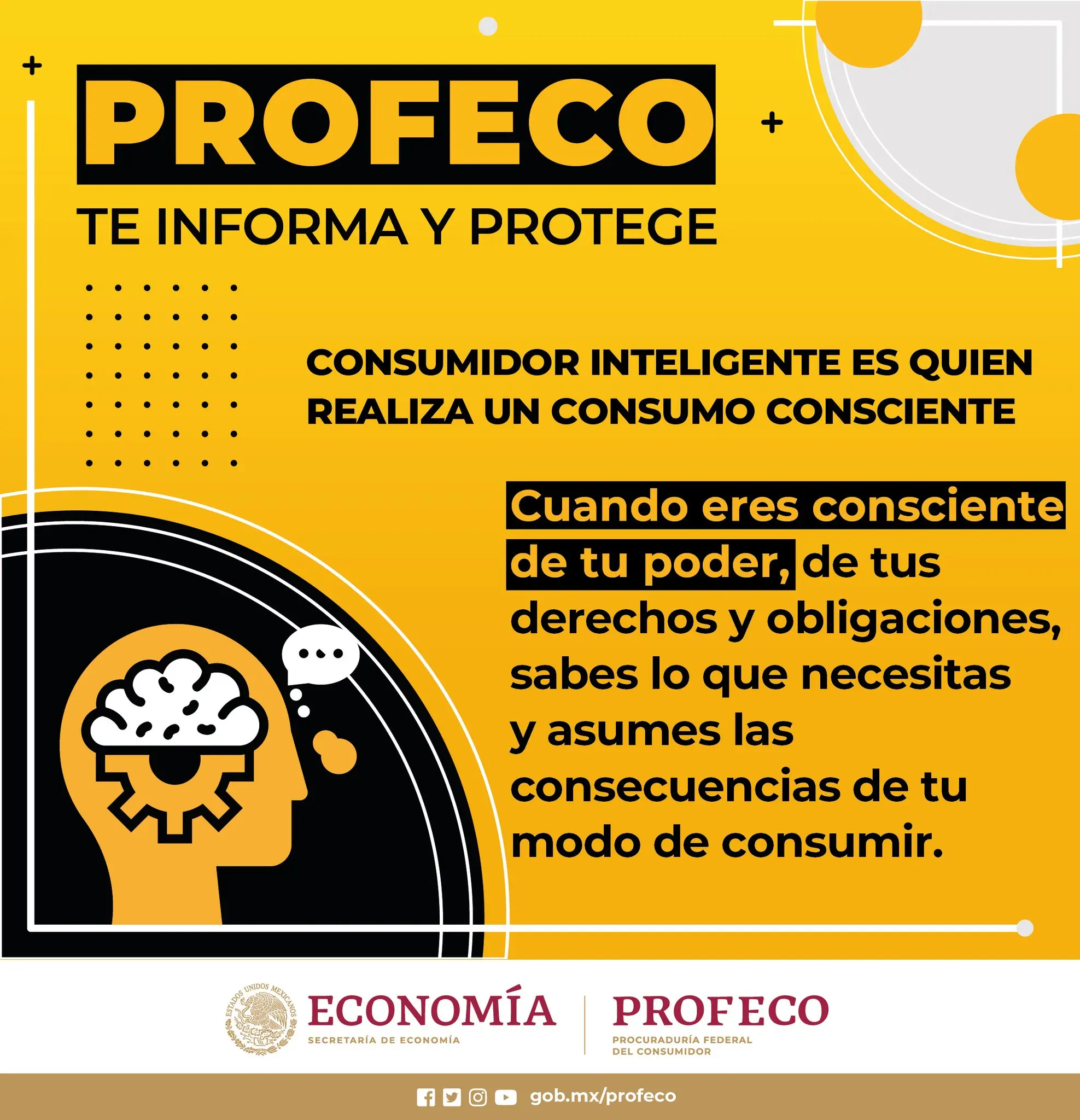 ideas del consumidor inteligente de profeco - Qué es un consumidor inteligente según la Profeco