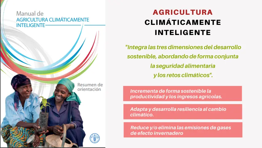 climáticamente inteligente - Qué es un producto climático inteligente