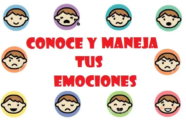 Proyecto de inteligencia emocional en la educación primaria - Qué es un proyecto de inteligencia emocional proyecto inteligencia emocional primaria - Qué es un proyecto de inteligencia emocional