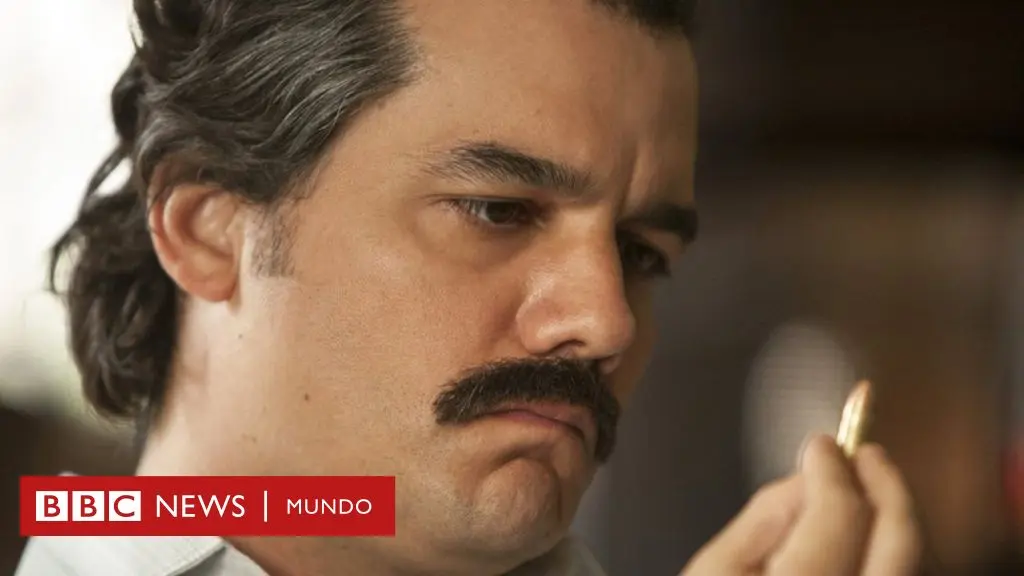 sapo inteligente - Qué es un sapo en México