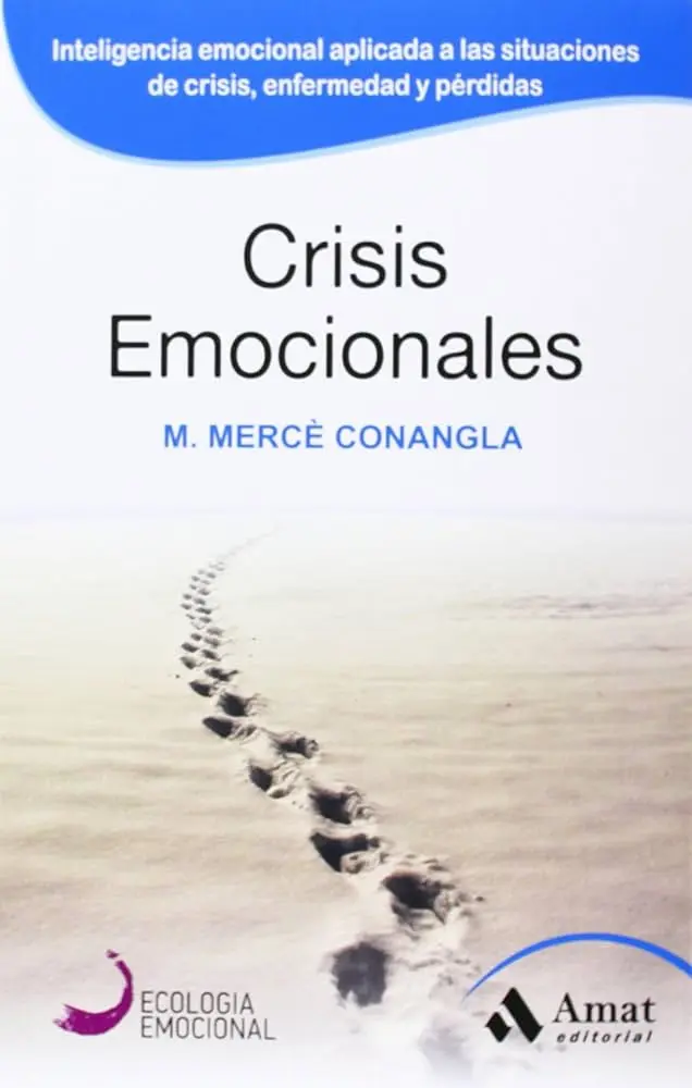 crisis emocionales la inteligencia emocional aplicada a situaciones límite - Qué es una crisis emocional