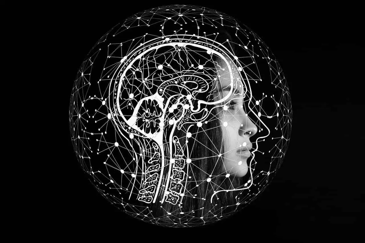 inteligencia cngnitiva - Qué es una mente cognitiva