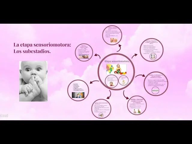 Inteligencia Sensoriomotriz según Piaget: Desarrollo y Características - Qué es y cómo se desarrolla la etapa sensoriomotora según Piaget inteligencia sensoriomotriz piaget - Qué es y cómo se desarrolla la etapa sensoriomotora según Piaget