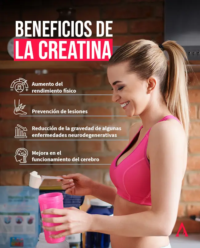 creatina aumenta la inteligencia - Que estimula la creatina