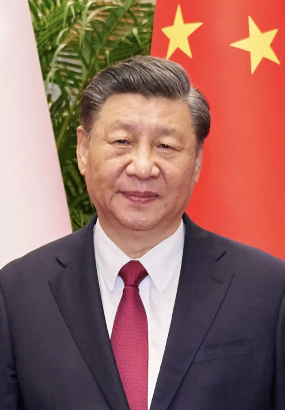 deng xiaoping inteligencia - Que estudió Xi Jinping