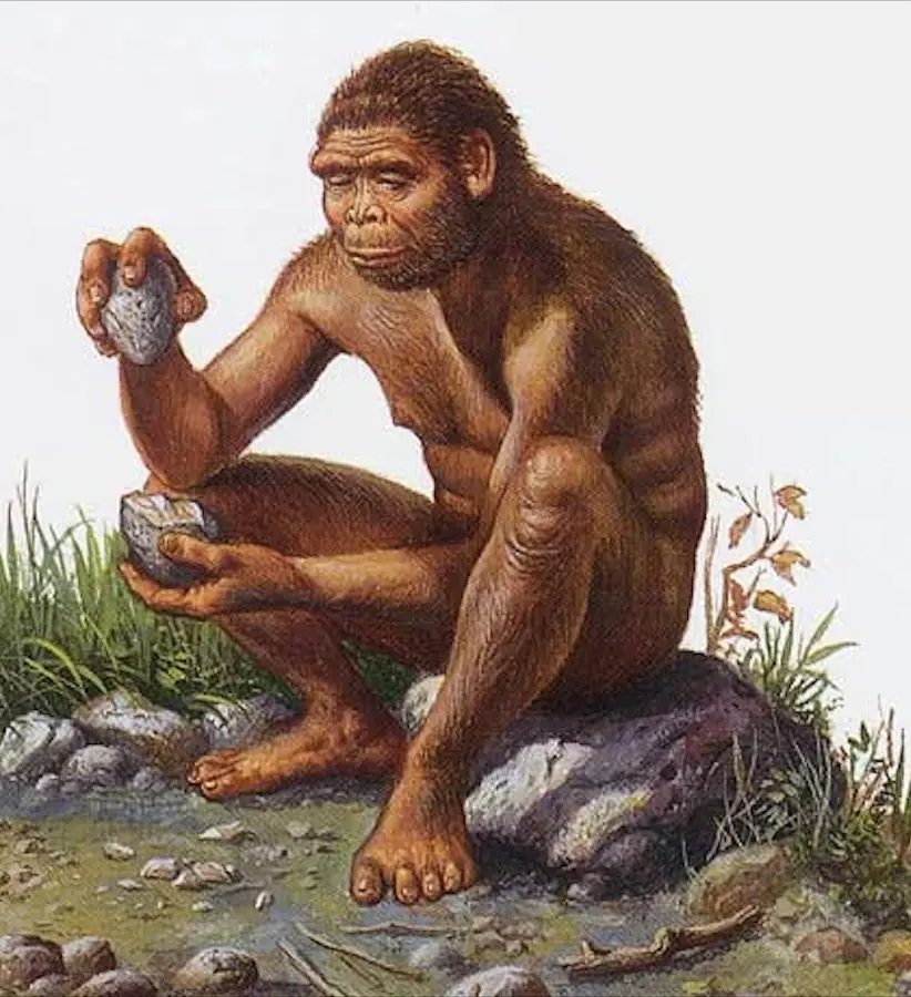 el homo hábilis u hombre inteligente - Qué habilidad tiene el Homo habilis