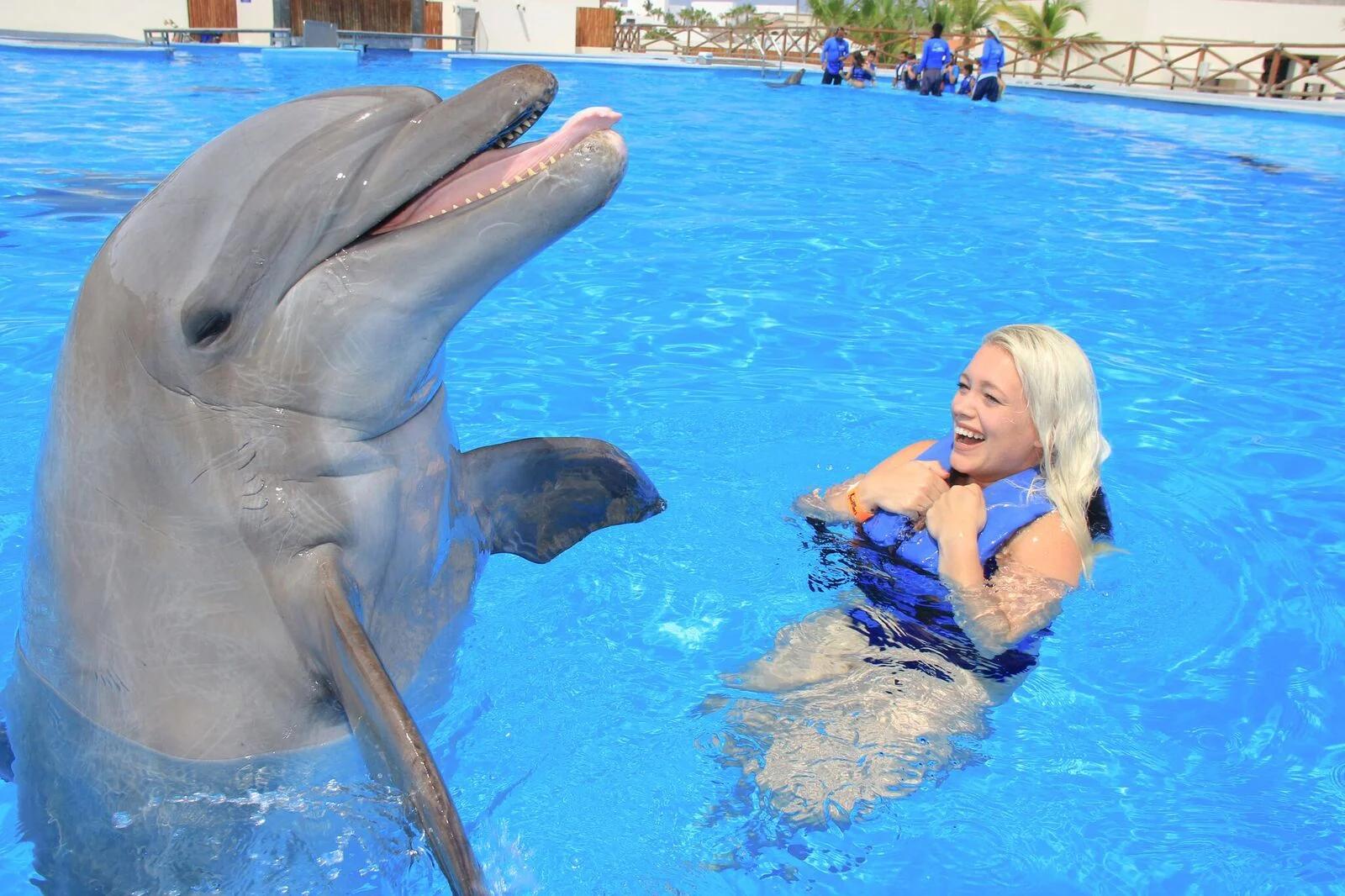 los delfines son inteligentes porque - Qué hace especial a los delfines