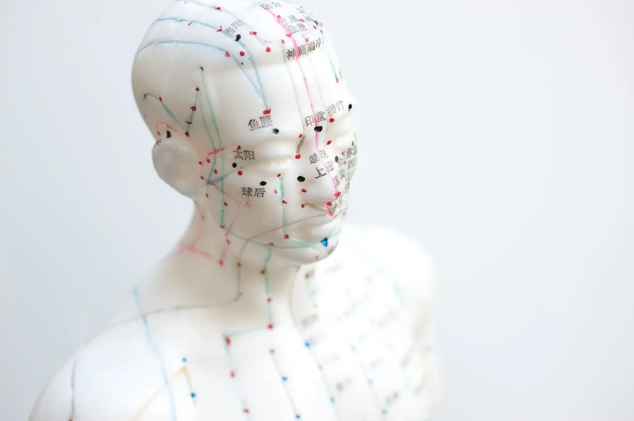 acupuntura punto de la inteligencia - Qué hace la acupuntura en la cabeza