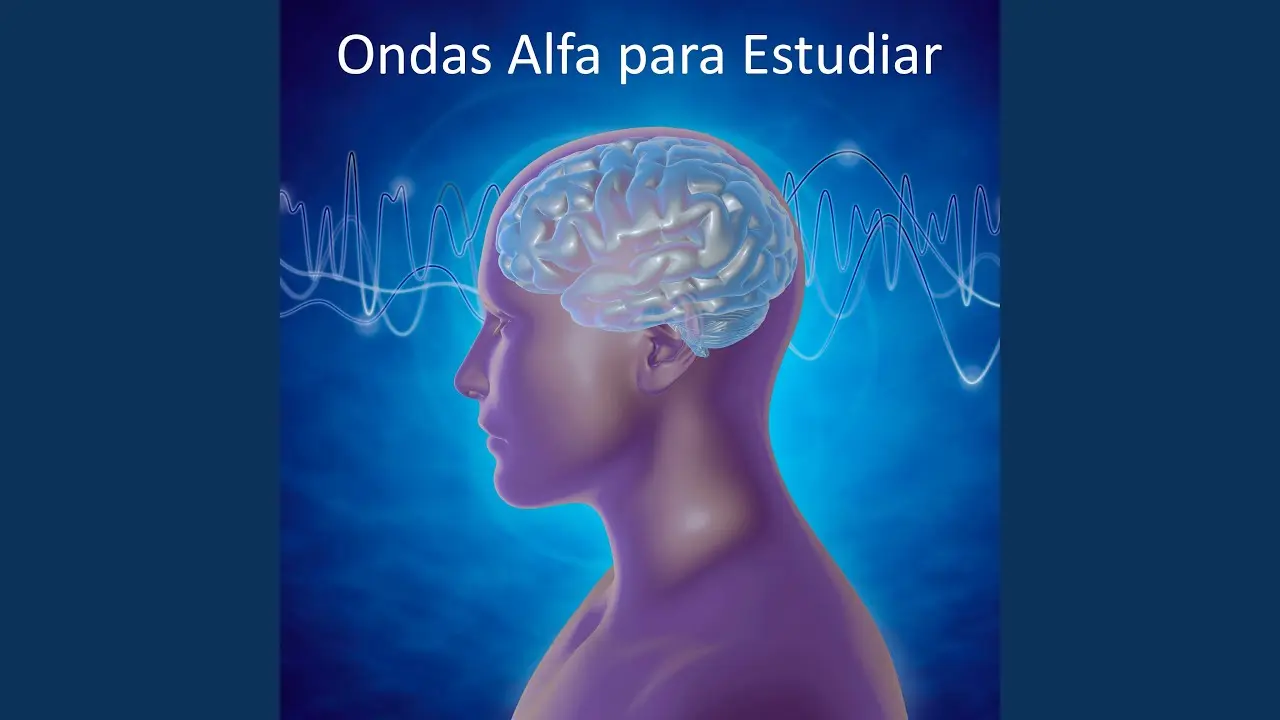 ondas alfa super inteligencia - Qué hacen las ondas alfa