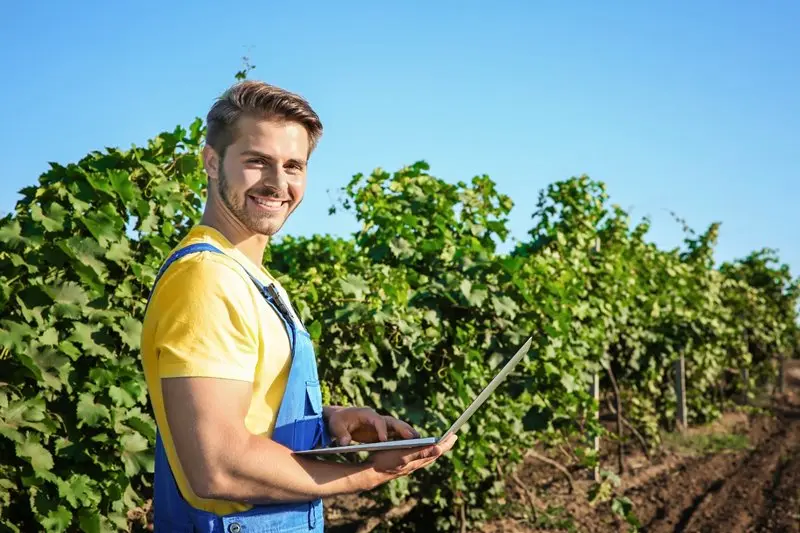 viticultura inteligente - Qué importancia tiene la vitivinicultura en Mendoza