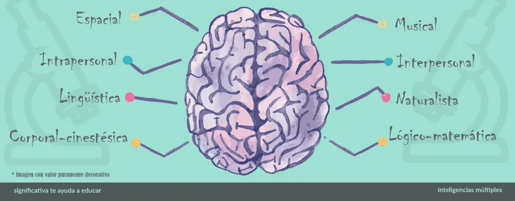 en que parte del cerebro se encuentra la inteligencia intrapersonal - Qué inteligencia se encuentra en el hemisferio izquierdo