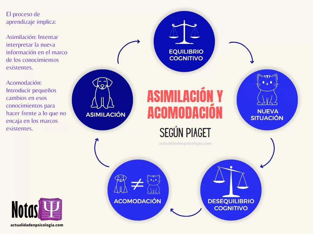 Concepto de Esquema en la Teoría Evolutiva de la Inteligencia de Piaget - Que intenta explicar la teoría de los esquemas concepto esquema piaget teoria evolutiva de la inteligencia - Que intenta explicar la teoría de los esquemas