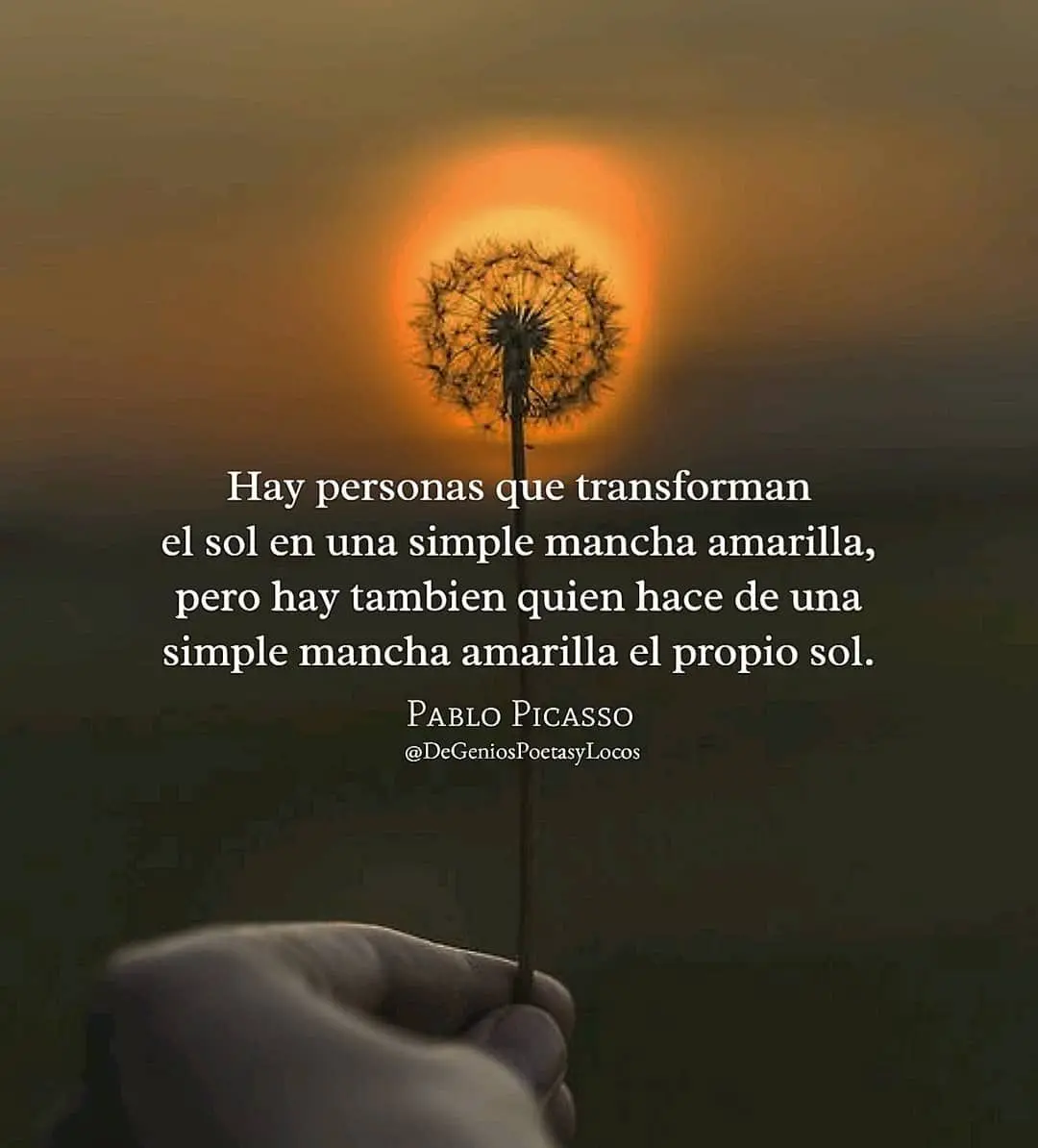 Frases de locura inteligente: una mirada a la genialidad - Que la cordura frases frases de locura inteligente - Que la cordura frases