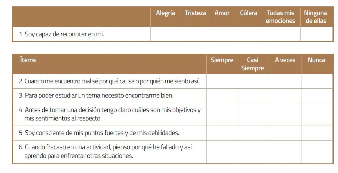 test de inteligencia emocional para docentes - Qué mide el test de Emily sterrett