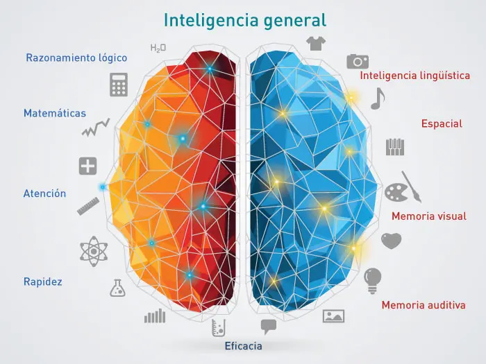 escala de inteligencia generla - Qué mide la inteligencia general