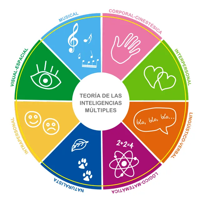 Inteligencias de Gardner: Analizando la diversidad de la mente humana - Qué nos dice la teoría de Howard Gardner inteligencias de gardner - Qué nos dice la teoría de Howard Gardner