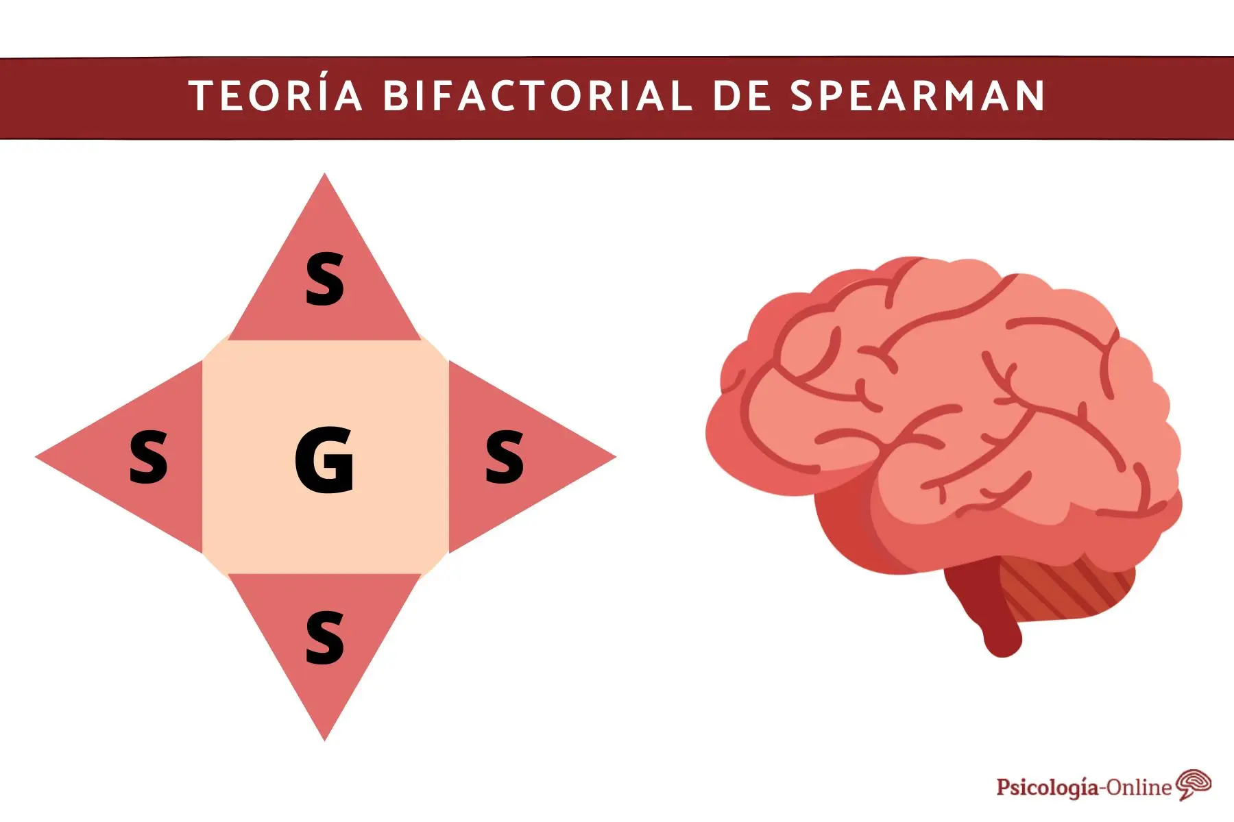 Teoría De La Inteligencia De Spearman: Evaluación Y Aportes | ICCSI