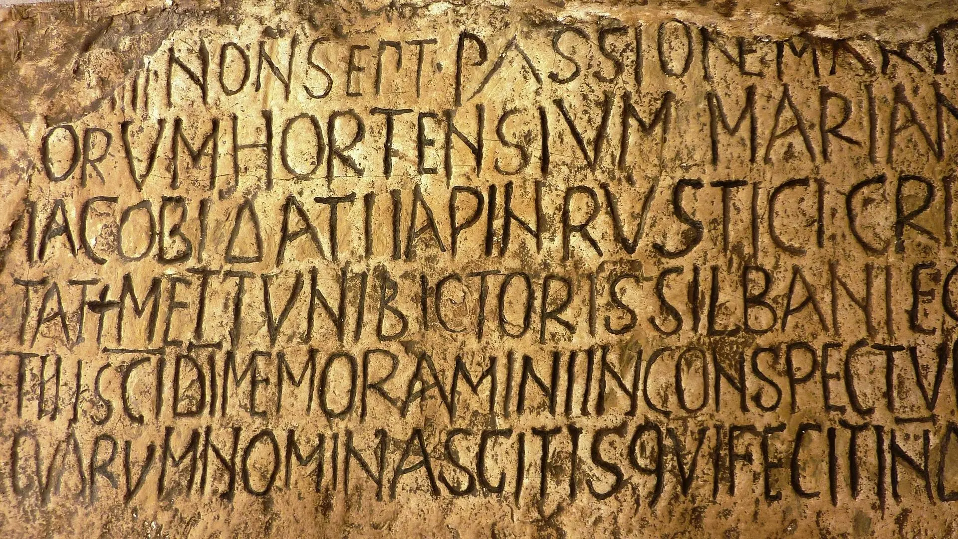 palabras inteligentes en latin - Qué palabras utilizamos del latín
