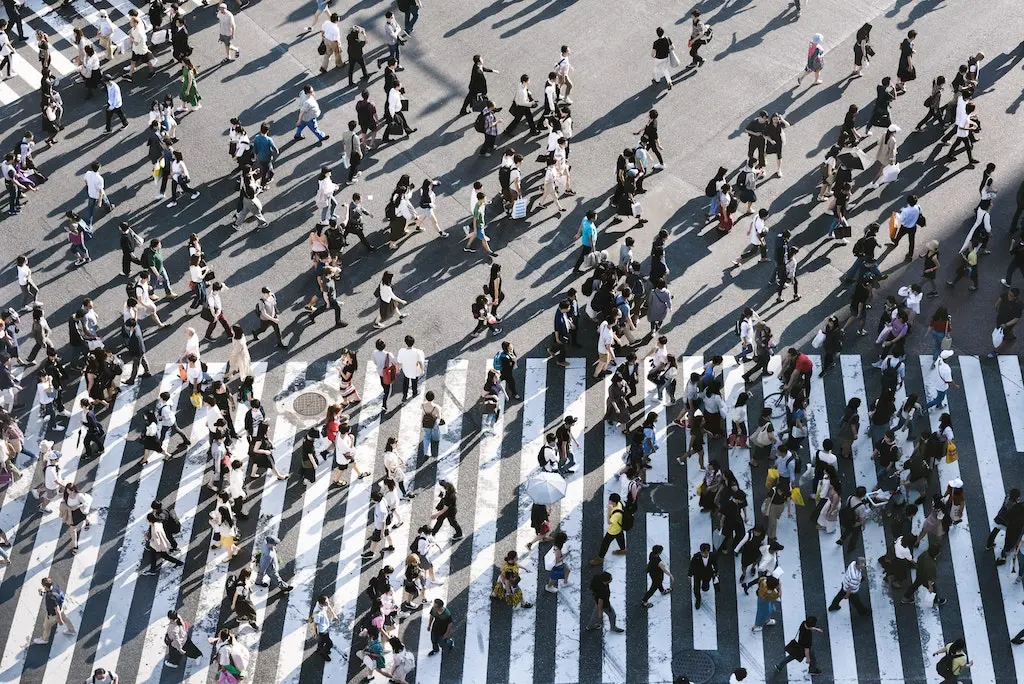 Especies humanas inteligentes: ¿Cuántas hubo? - Qué pasó con las demás especies de humanos especies humanas inteligentes cuántas hubo - Qué pasó con las demás especies de humanos