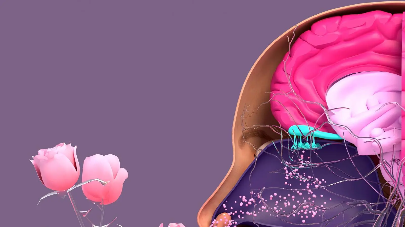 cacosmia inteligencia - Qué produce la Cacosmia