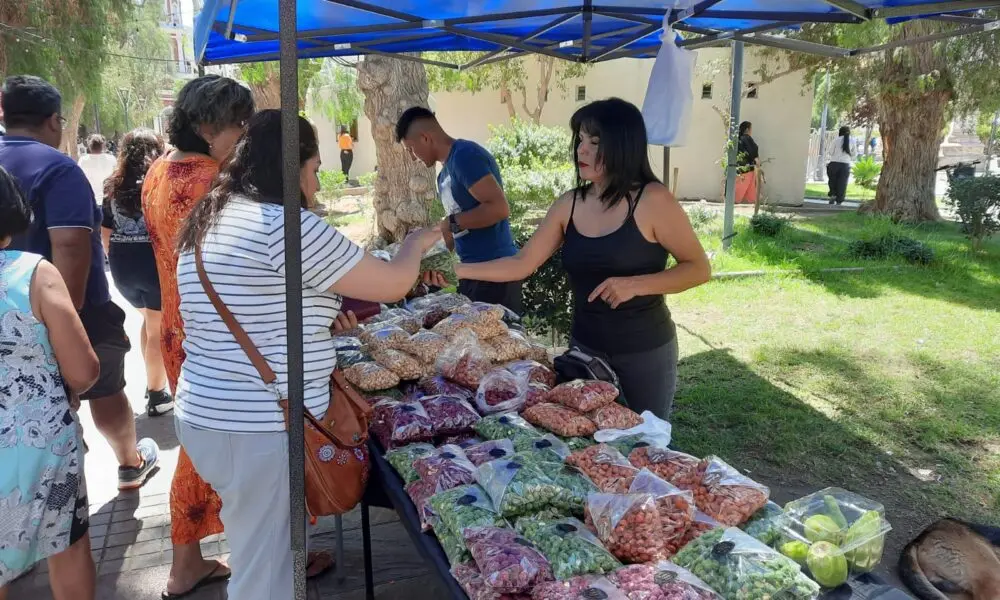 Anita Alvarado: La compra inteligente de una figura pública en Chile - Qué productos vende Anita Alvarado anita alvarado compra inteligente - Qué productos vende Anita Alvarado