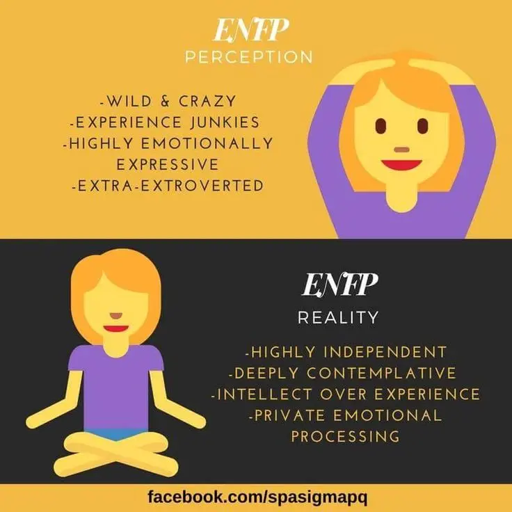 Enfp inteligencia - Qué puede estudiar un ENFP enfp inteligencia - Qué puede estudiar un ENFP
