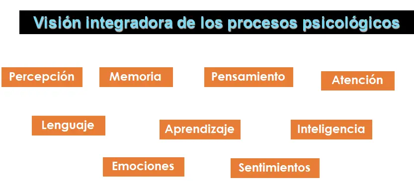 existe relacion entre la inteligencia y percepcion - Qué relación tiene la percepción