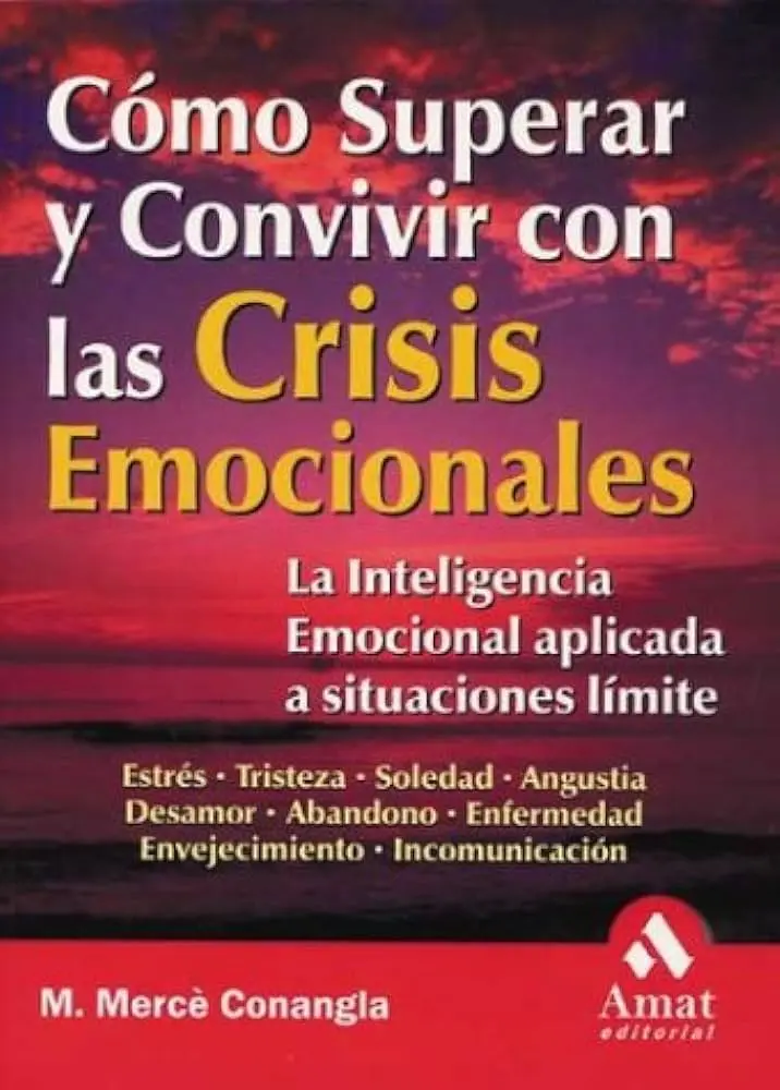 crisis emocionales la inteligencia emocional aplicada a situaciones límite - Qué se debe de hacer en un crisis emocional