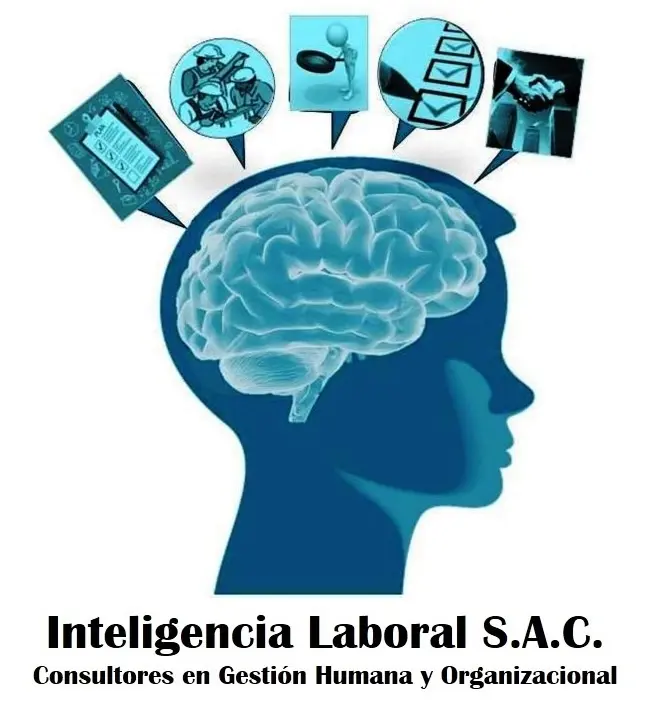 inteligencia administrativa - Que se entiende por capacidad administrativa