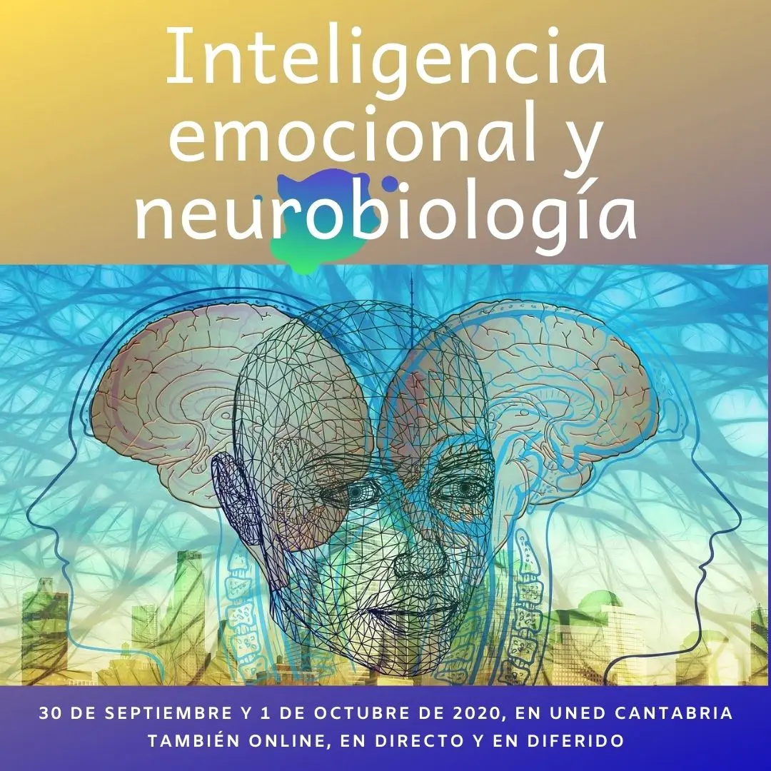 neurobiología de la inteligencia - Que se estudia en la neurobiología