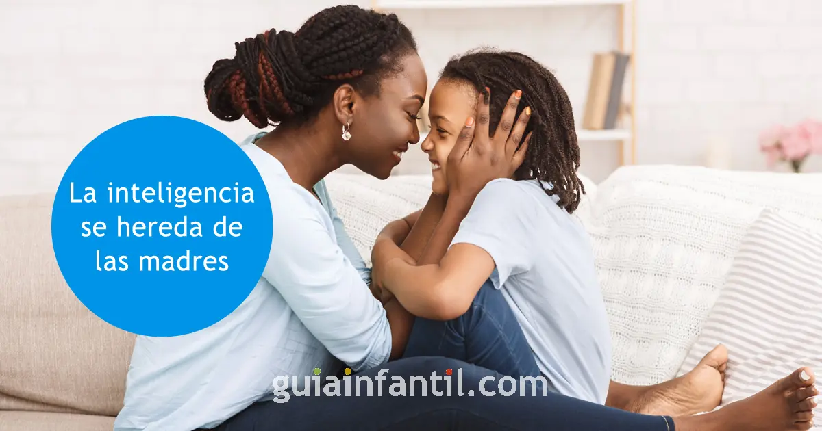 La inteligencia se hereda de la abuela materna - Que se hereda de la abuela materna la inteligencia se hereda de la abuela materna - Que se hereda de la abuela materna