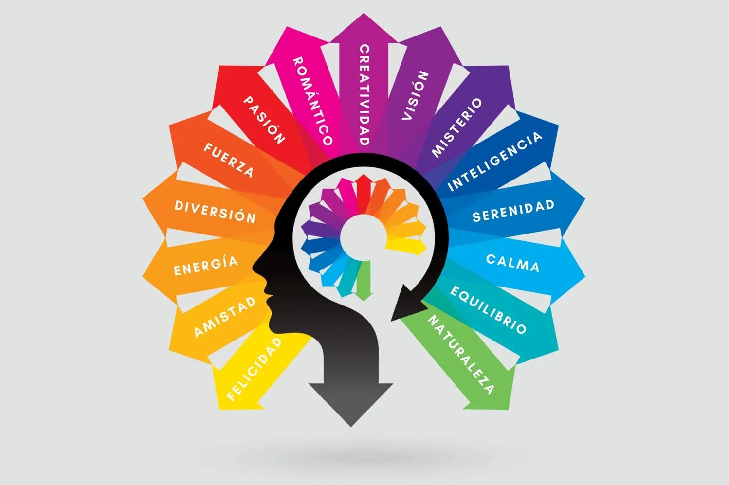 color de la inteligencia emocional - Qué significa el color verde en las emociones