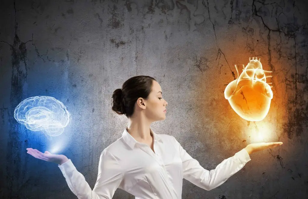 inteligencia ejecutiva - Qué significa inteligencia ejecutiva