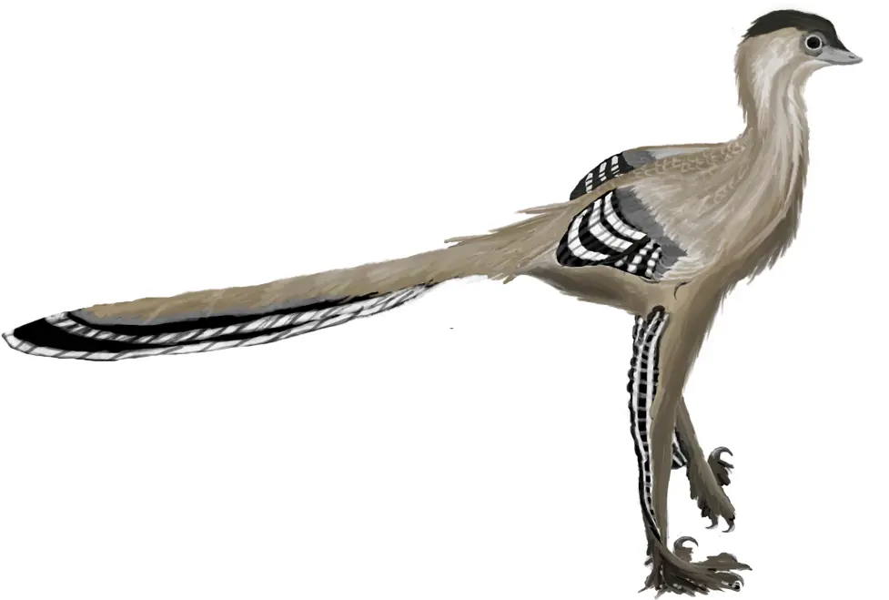 troodon inteligencia - Qué significa la palabra Troodon