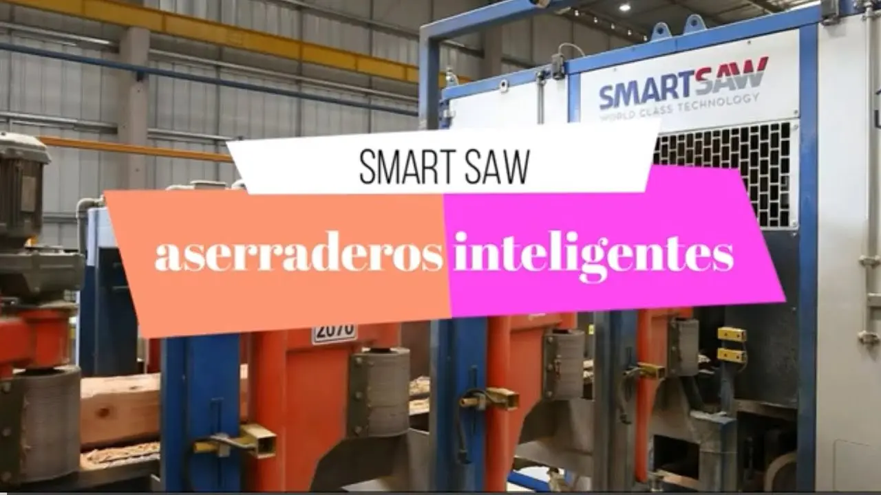 aserraderos inteligentes - Qué significa ser aserradero