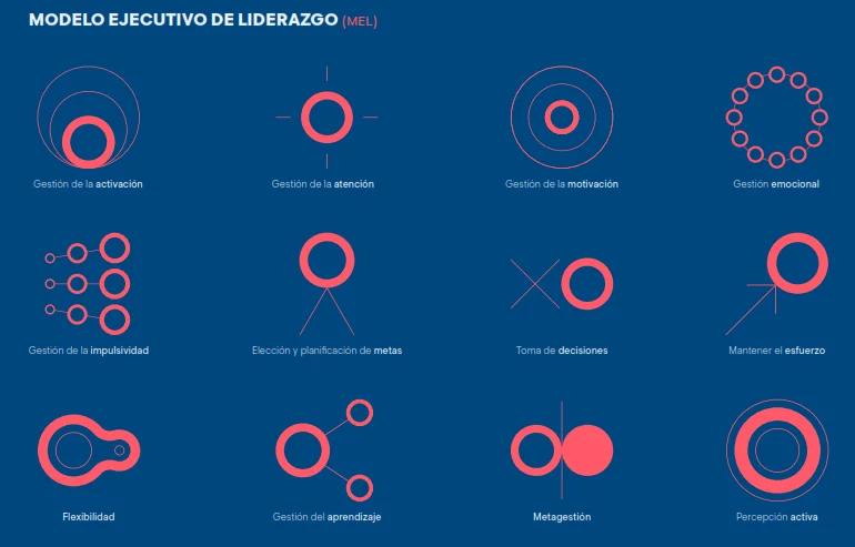 bases de la inteligencia ejecutiva - Qué son las funciones ejecutivas según Piaget