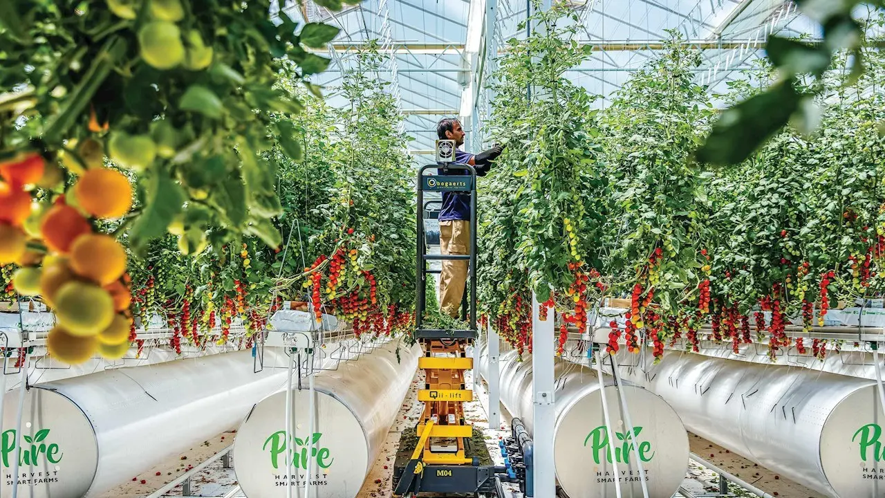 Granjas inteligentes y agricultura: el futuro de la producción de alimentos - Qué son las granjas digitales granjas inteligentes y agricultura - Qué son las granjas digitales