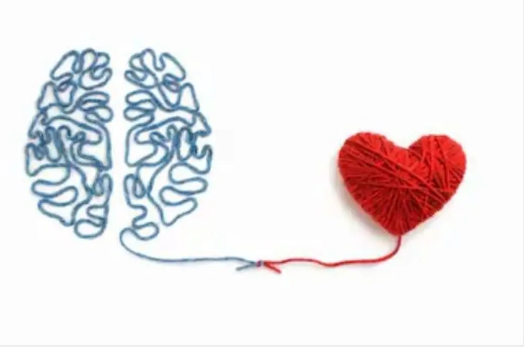 inteligencia instinto sentimiento voluntad - Qué son los instintos y las emociones