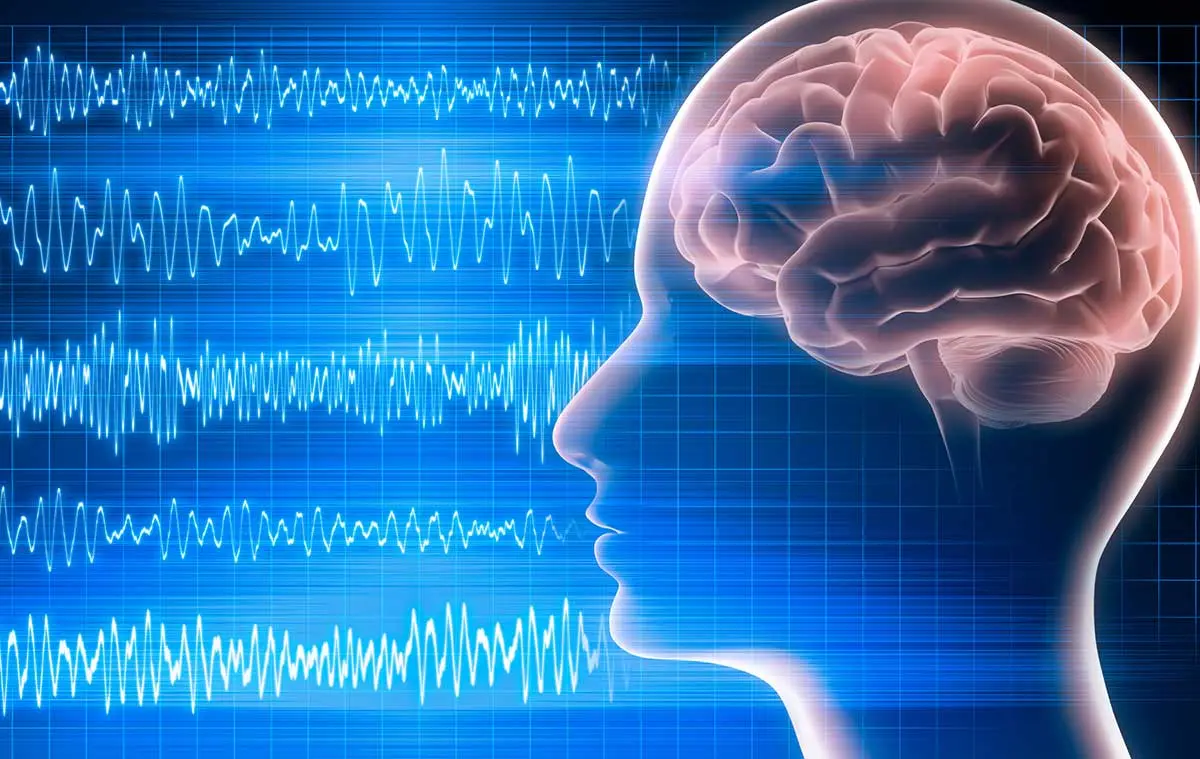 ondas de inteligencia - Qué son ondas alfa delta y theta