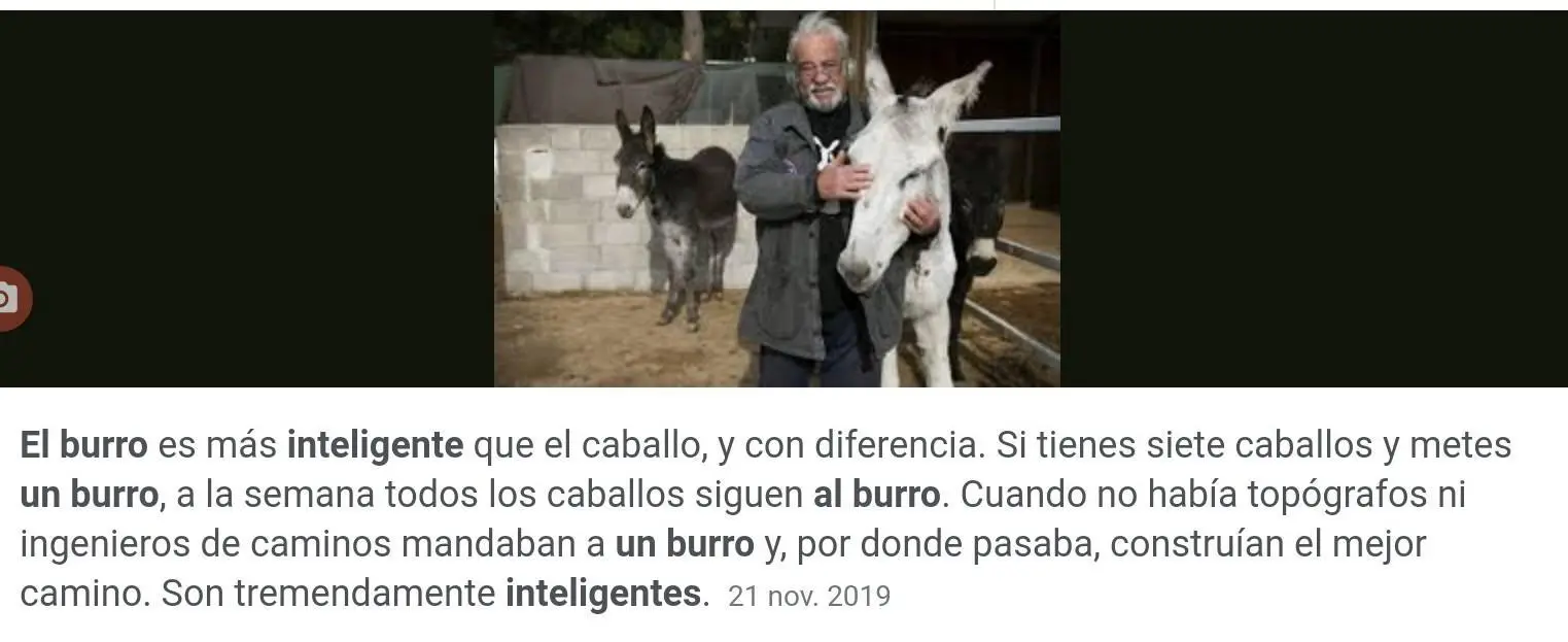 quien es mas inteligente el burro o el caballo - Qué tan inteligente es un caballo