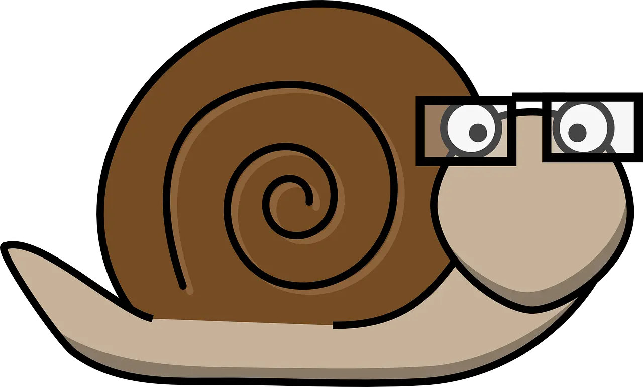 caracol inteligente - Qué tan inteligente es un caracol
