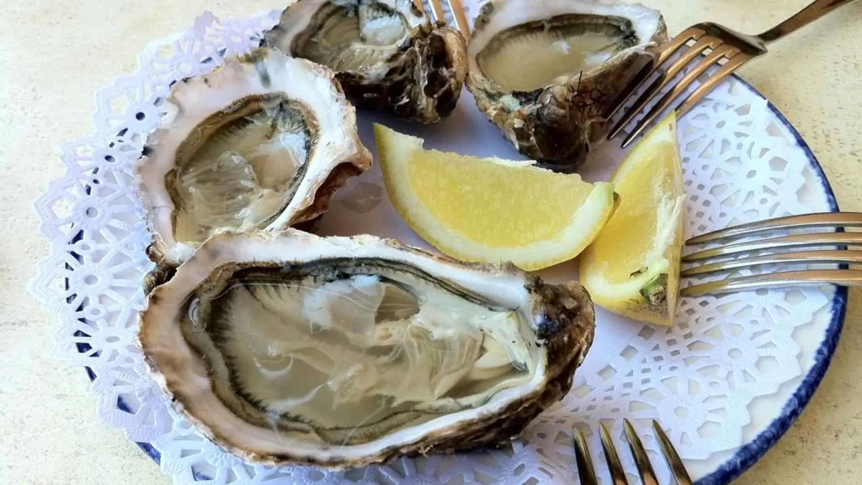 comer las ostras te hace mas inteligente - Qué tan inteligente es una ostra