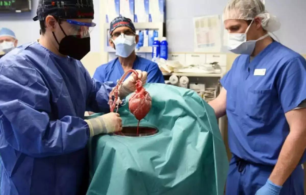 donacion de organos y sistemas inteligentes - Qué tecnologías permitieron realizar los trasplantes con mayor éxito